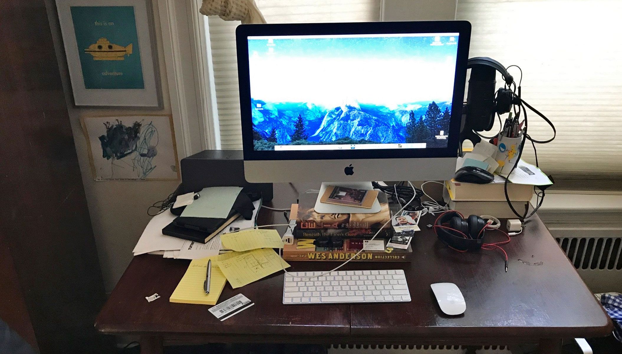 Lang’s World: An Expert’s Tips For Working from Home